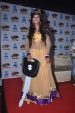 at Dance India Dance grand finale in Mumbai on 21st April 2012 (145).JPG